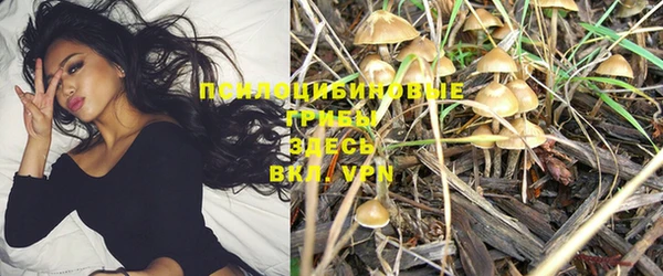 молекула духа Верхнеуральск
