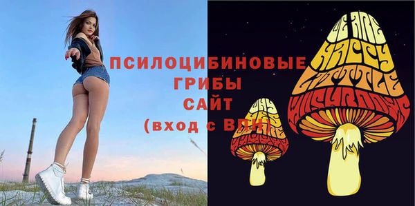 бутират Снежногорск