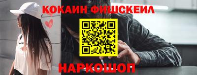 крисы Моздок