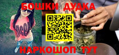 крисы Моздок