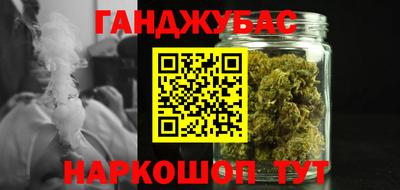 крисы Моздок