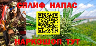 гашик Можга