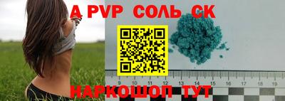 крисы Моздок