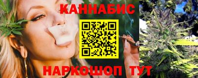 крисы Моздок