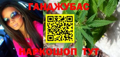 гашик Можга