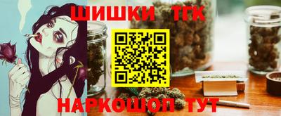 гашик Можга