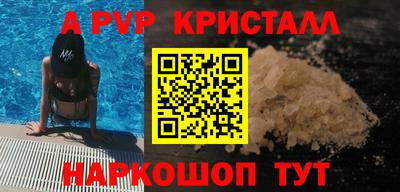 гашик Можга
