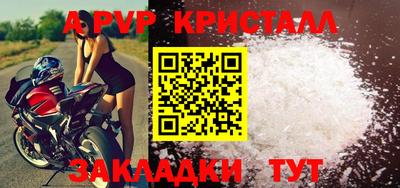 крисы Моздок