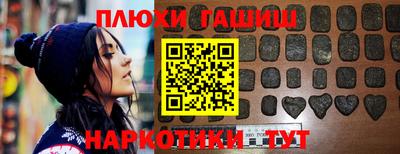 крисы Моздок